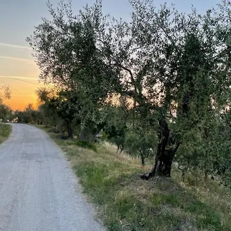 Podere Zelmira * Sinalunga